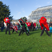 Happy Halloween im Botanischen Garten Berlin